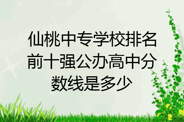 仙桃中专学校排名前十强公办高中分数线是多少