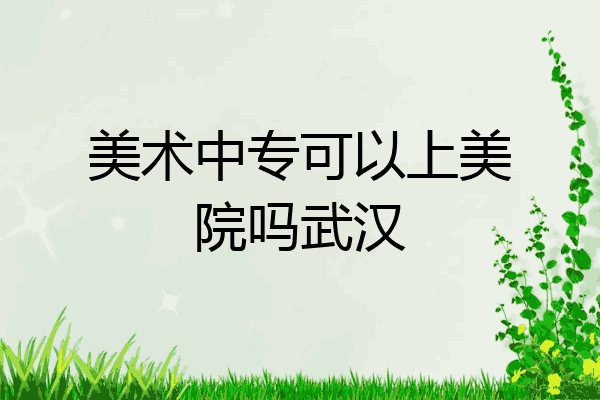 美术中专可以上美院吗武汉