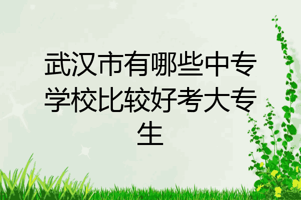 武汉市有哪些中专学校比较好考大专生