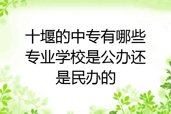 十堰的中专有哪些专业学校是公办还是民办的