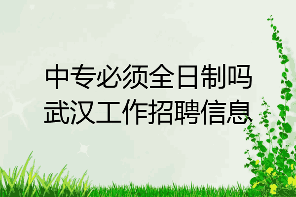 中专必须全日制吗武汉工作招聘信息