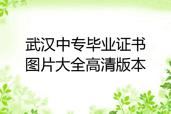 武汉中专毕业证书图片大全高清版本