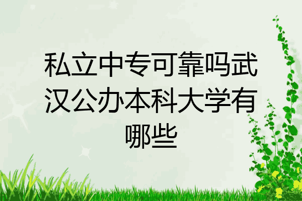 私立中专可靠吗武汉公办本科大学有哪些
