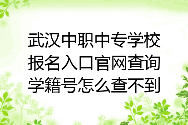 武汉中职中专学校报名入口官网查询学籍号怎么查不到