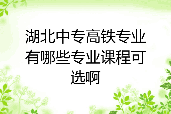 湖北中专高铁专业有哪些专业课程可选啊