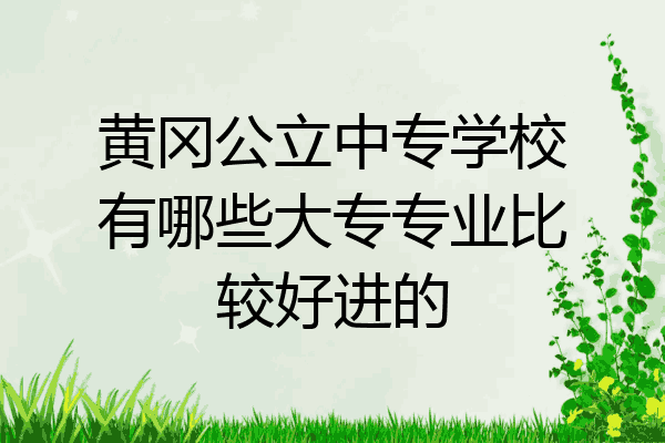 黄冈公立中专学校有哪些大专专业比较好进的