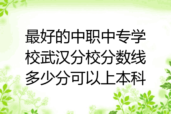 最好的中职中专学校武汉分校分数线多少分可以上本科