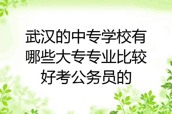 武汉的中专学校有哪些大专专业比较好考公务员的
