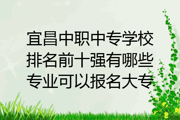 宜昌中职中专学校排名前十强有哪些专业可以报名大专