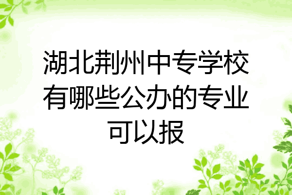湖北荆州中专学校有哪些公办的专业可以报