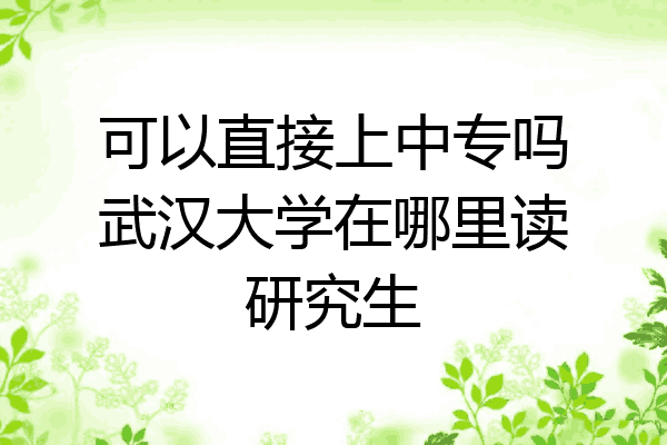 可以直接上中专吗武汉大学在哪里读研究生