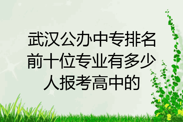 武汉公办中专排名前十位专业有多少人报考高中的
