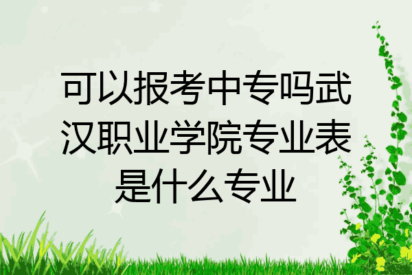 可以报考中专吗武汉职业学院专业表是什么专业