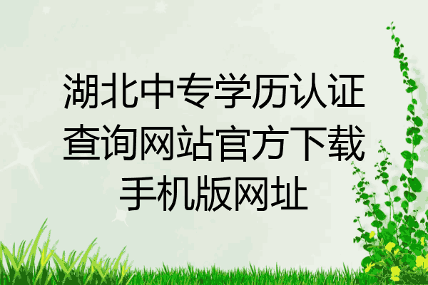 湖北中专学历认证查询网站官方下载手机版网址