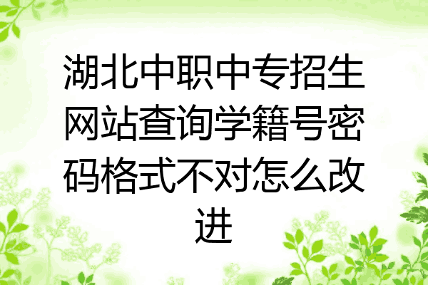 湖北中职中专招生网站查询学籍号密码格式不对怎么改进
