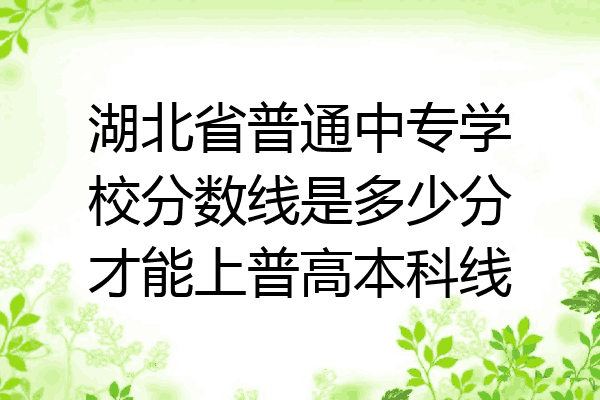 湖北省普通中专学校分数线是多少分才能上普高本科线