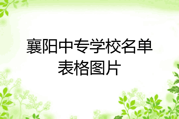 襄阳中专学校名单表格图片