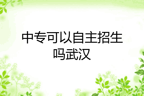 中专可以自主招生吗武汉