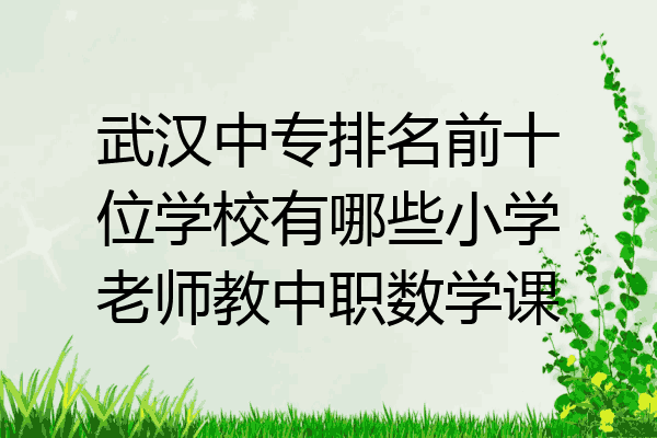 武汉中专排名前十位学校有哪些小学老师教中职数学课