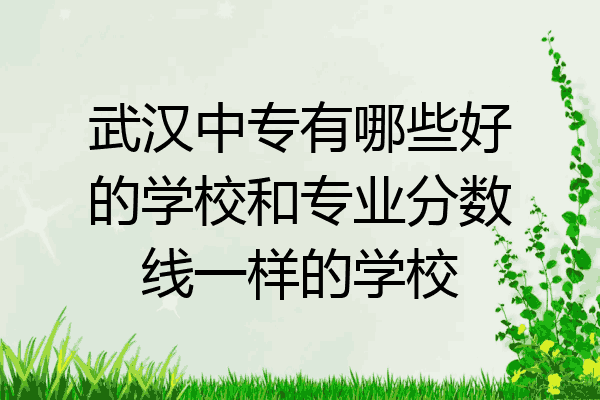 武汉中专有哪些好的学校和专业分数线一样的学校