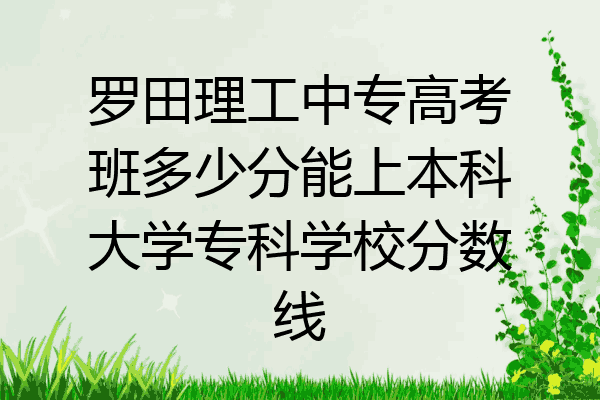 罗田理工中专高考班多少分能上本科大学专科学校分数线