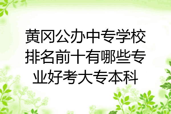 黄冈公办中专学校排名前十有哪些专业好考大专本科