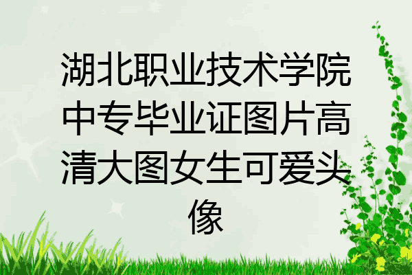 湖北职业技术学院中专毕业证图片高清大图女生可爱头像