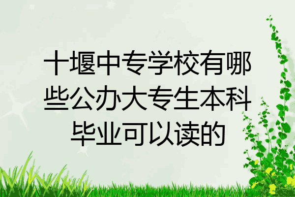 十堰中专学校有哪些公办大专生本科毕业可以读的