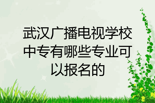 武汉广播电视学校中专有哪些专业可以报名的