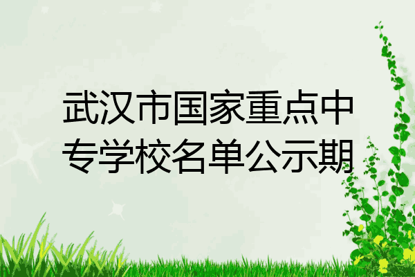 武汉市国家重点中专学校名单公示期