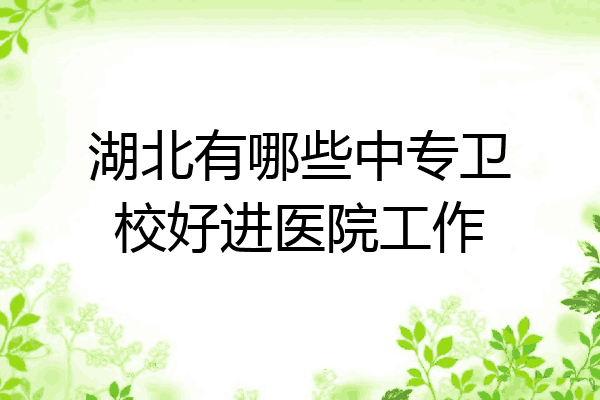 湖北有哪些中专卫校好进医院工作