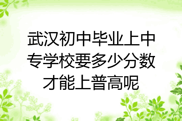 武汉初中毕业上中专学校要多少分数才能上普高呢