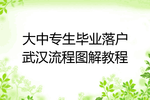 大中专生毕业落户武汉流程图解教程