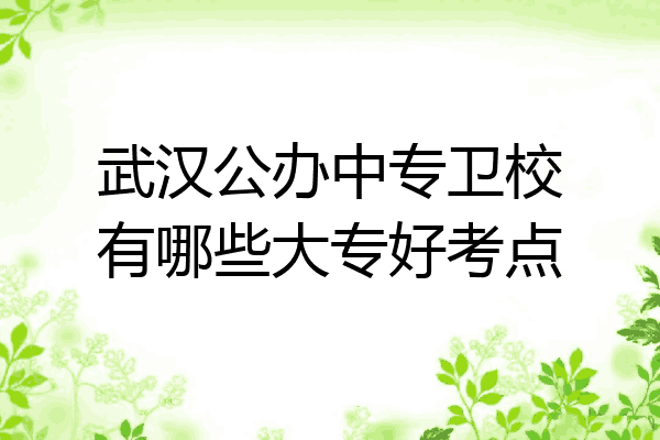 武汉公办中专卫校有哪些大专好考点
