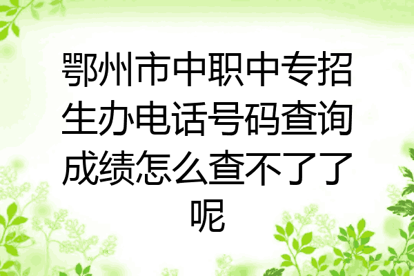 鄂州市中职中专招生办电话号码查询成绩怎么查不了了呢