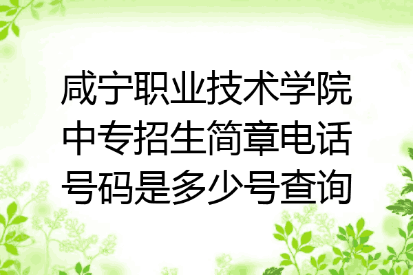 咸宁职业技术学院中专招生简章电话号码是多少号查询