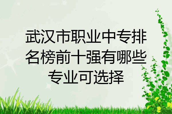 武汉市职业中专排名榜前十强有哪些专业可选择