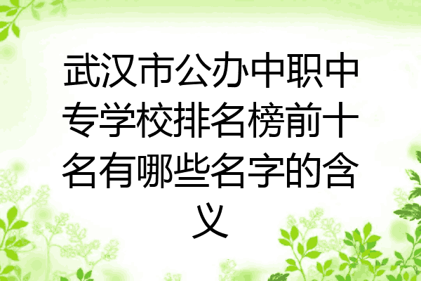 武汉市公办中职中专学校排名榜前十名有哪些名字的含义