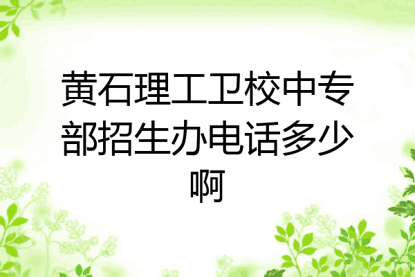 黄石理工卫校中专部招生办电话多少啊