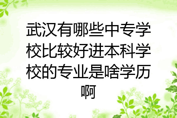 武汉有哪些中专学校比较好进本科学校的专业是啥学历啊