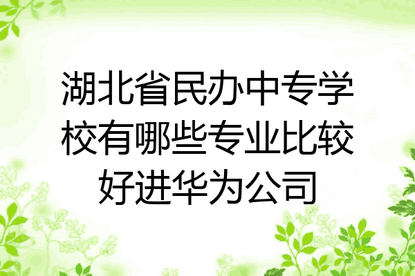 湖北省民办中专学校有哪些专业比较好进华为公司