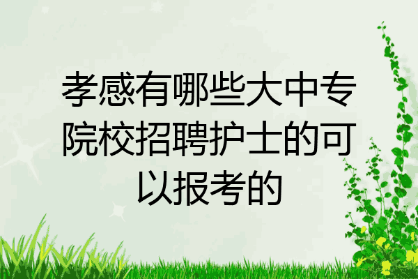 孝感有哪些大中专院校招聘护士的可以报考的