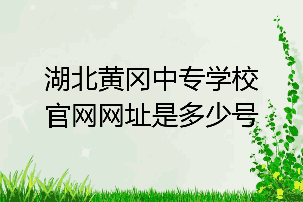 湖北黄冈中专学校官网网址是多少号
