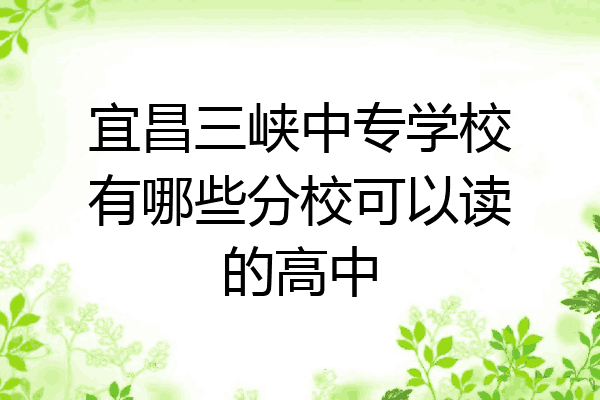宜昌三峡中专学校有哪些分校可以读的高中