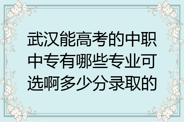 武汉能高考的中职中专有哪些专业可选啊多少分录取的