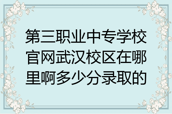 第三职业中专学校官网武汉校区在哪里啊多少分录取的