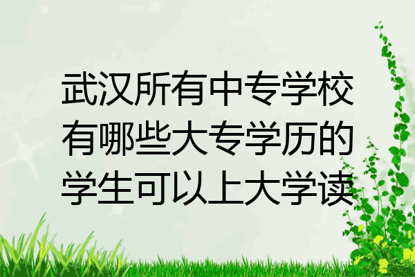 武汉所有中专学校有哪些大专学历的学生可以上大学读