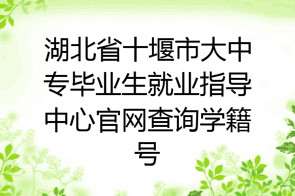 湖北省十堰市大中专毕业生就业指导中心官网查询学籍号