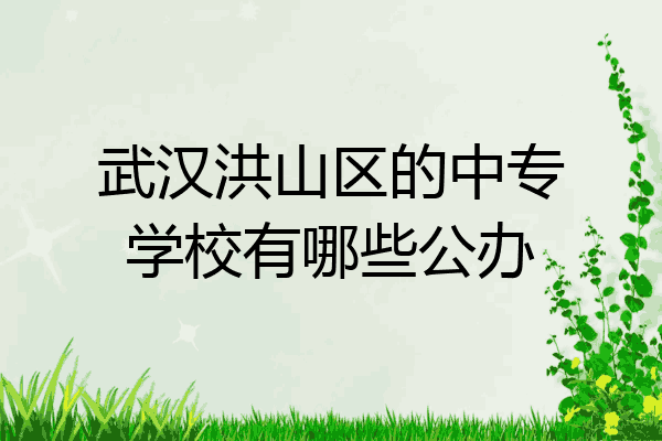 武汉洪山区的中专学校有哪些公办
