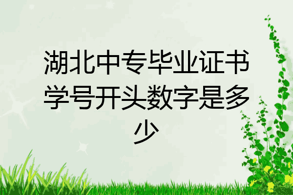 湖北中专毕业证书学号开头数字是多少